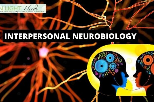 What is Interpersonal Neurobiology used for?