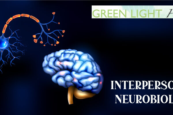 How interpersonal neurobiology Is Used in Therapy