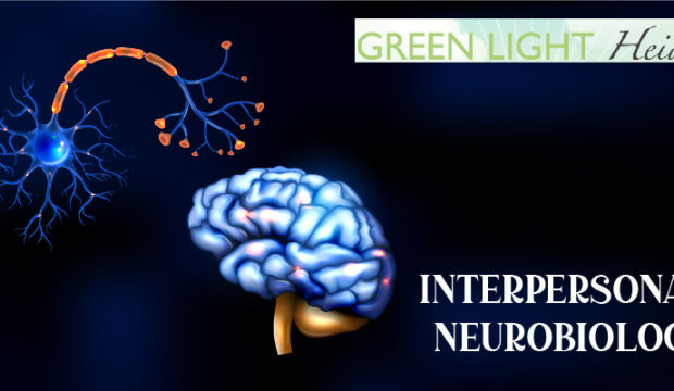 How interpersonal neurobiology Is Used in Therapy