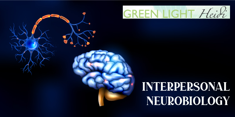 How interpersonal neurobiology Is Used in Therapy