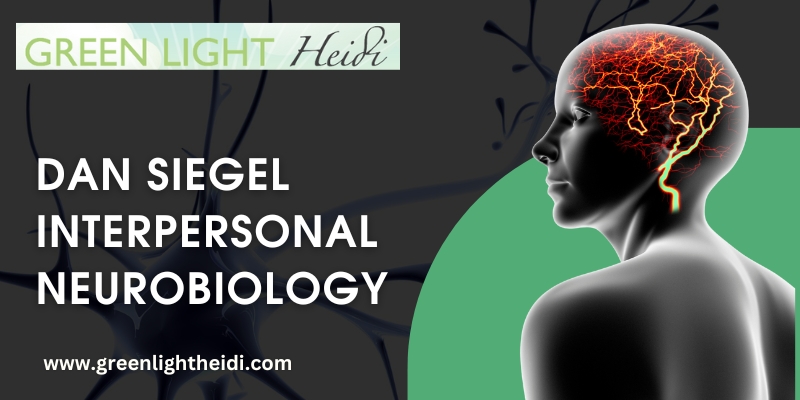 How Can Siegel Interpersonal Neurobiology Course Help In Self Development